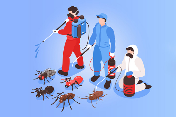 超市四害防治,超市四害消殺,超市除四害,守護者生物工程